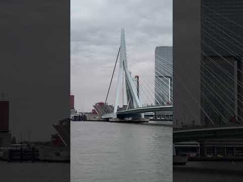 Thumbnail for Erasmusbrücke Rotterdam#rotterdam #amsterdam #holiday#youtubeshorts#youtube #youtuber #gezi #keşfet