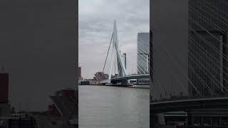 Erasmusbrücke Rotterdam#rotterdam #amsterdam #holiday#youtubeshorts#youtube #youtuber #gezi #keşfet