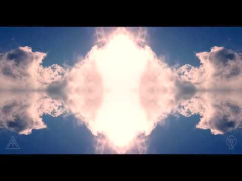 Tony Anderson - Bloom