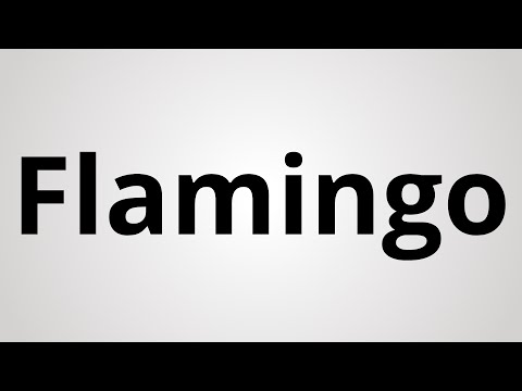 How to Pronounce Flamingo