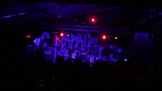 Melvins "Eye Flys" @ The Mohawk - Austin, TX - March 31, 2016