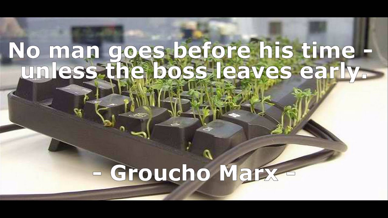 Funny Work Quotes I Short Quotes