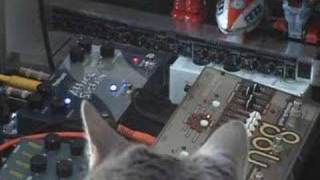 Video thumbnail for Pigtronix Attack Sustain & Electro Harmonix HOG by Analogger