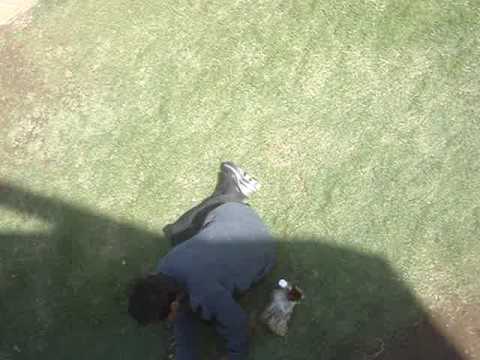 Borrashiito xd comiendo sus Uvas $: Me daii ( Voz Afonika o_o ) u.u  xdd