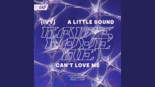 Can't Love Me