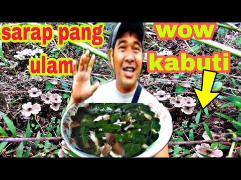 PANGUNGUHA NG KABUTI AT NAG IHAW NG BANGUS #buhayprobinsya