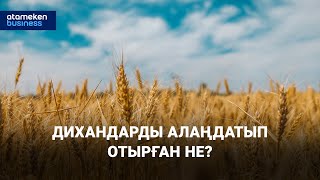 Дихандарды алаңдатып отырған не?