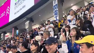王柏融（夢花火）で大盛り上がりの台湾VSアメリカ応援　＃12強　2024.11.22 東京巨蛋外野啦啦隊應援 #cheerleader #台湾チア＃棒球＃中華隊