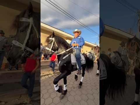 Hípicas el Sauce - León 🦁 2026. Ambiente