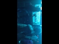 IMG 0613
