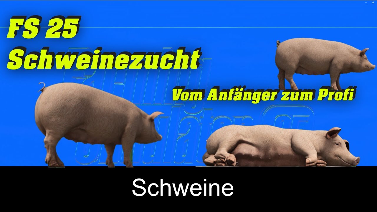FS25 Schweine, Schweinezucht vom Anfänger zum Profi, Tipps und Tricks, zum Teil auch für Konsole.