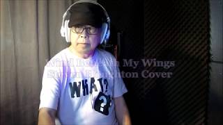 Wind Beneath My Wings  ( Cover )  -- Steven Houghton