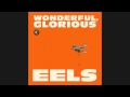 EELS - I Am Building A Shrine [Audio Stream]