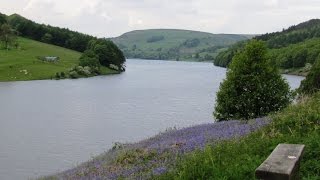 preview picture of video 'Peak District Country Walk   Ladybower Reservoir to Whinstone Lee Tor and its abundant wildlife roun'