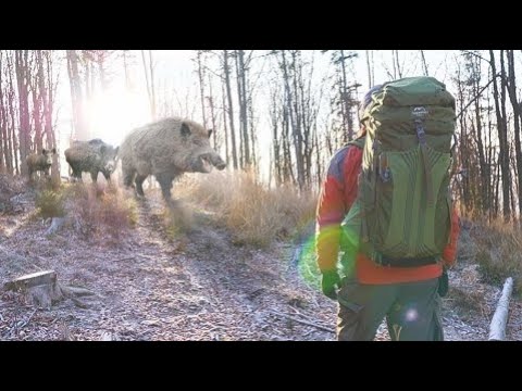 24 hodin v lese s věcmi z Aliexpressu! [Část 1]