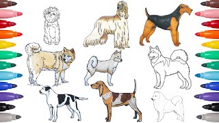 Dog Coloring pages - Dog Breeds Coloring