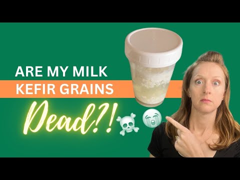 Common Kefir Making MISTAKES That KILL Grains ☠️