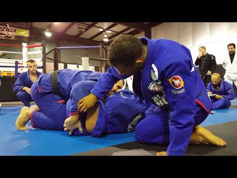 Rodolfo Vieira Jiu Jitsu Seminar at Ronin Training Center