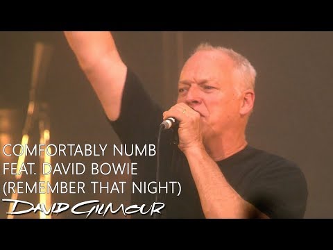 David Gilmour - Comfortably Numb feat. David Bowie (Remember That Night)