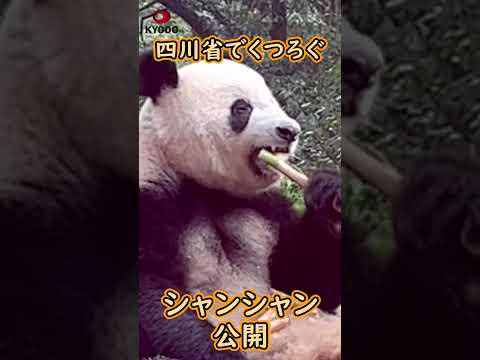 中国の動物
