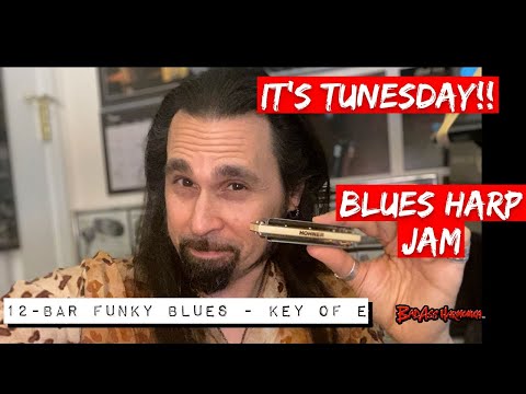 How To Not Suck with a Funky 12-Bar Blues Harmonica Jam - Key of E Jam Track - Tunesday 51