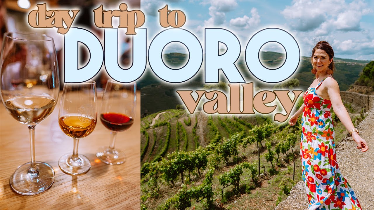 Your quick guide of a tour to Douro Wine Valley.