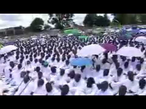 Ev Chemhere Ngarikudzwe zita renyu mambo Jesu The African apostolic church paul Mwazha