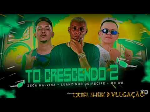 LUANZINHO DO RECIFE - ZECA MALVINA , MC GW _ to crescendo 2