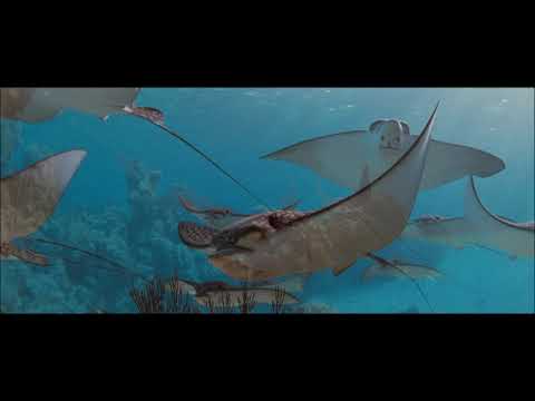 Into the Blue -  We Get the Boat Scene 4K