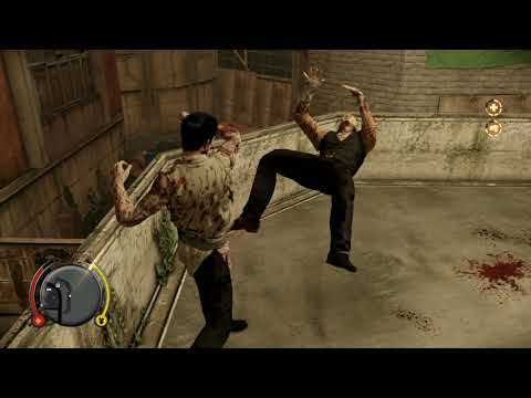 Sleeping Dogs Definitive Edition Drunken Master Costume Fighting Style