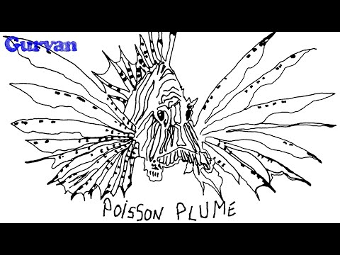 Gurvan - Poisson Plume (Clip)