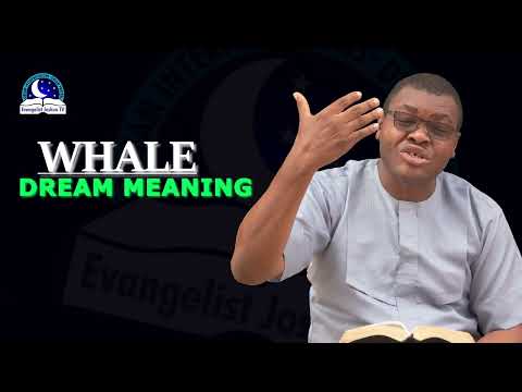 Whale Dream Meaning - Biblical Interpretation and Symbolism