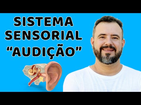 Sistema Sensorial (Audição)