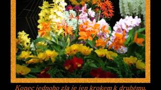 Dobro a zlo - citáty; Hudba: Anthony Ventura - Only Had Time Save the Last Dance for Me