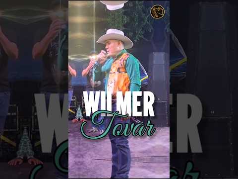 @joelantonionarvaez WILMER TOVAR - LAS MERCEDES DEL LLANO, MAYO 2026
