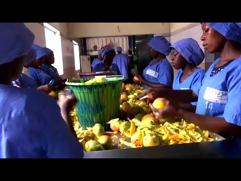 Accord De Coopération Militaire Avec La Russie : Ce que le Cameroun gagne