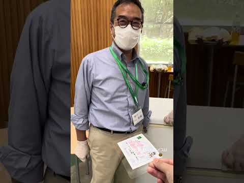 こども学科 そんなヤバイアイス屋さんが浦和大学にはあるのか！？#shorts #オープンキャンパス #社会学部 #こども学部 #模擬授業 #学部説明