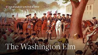 A New Nation: The Washington Elm