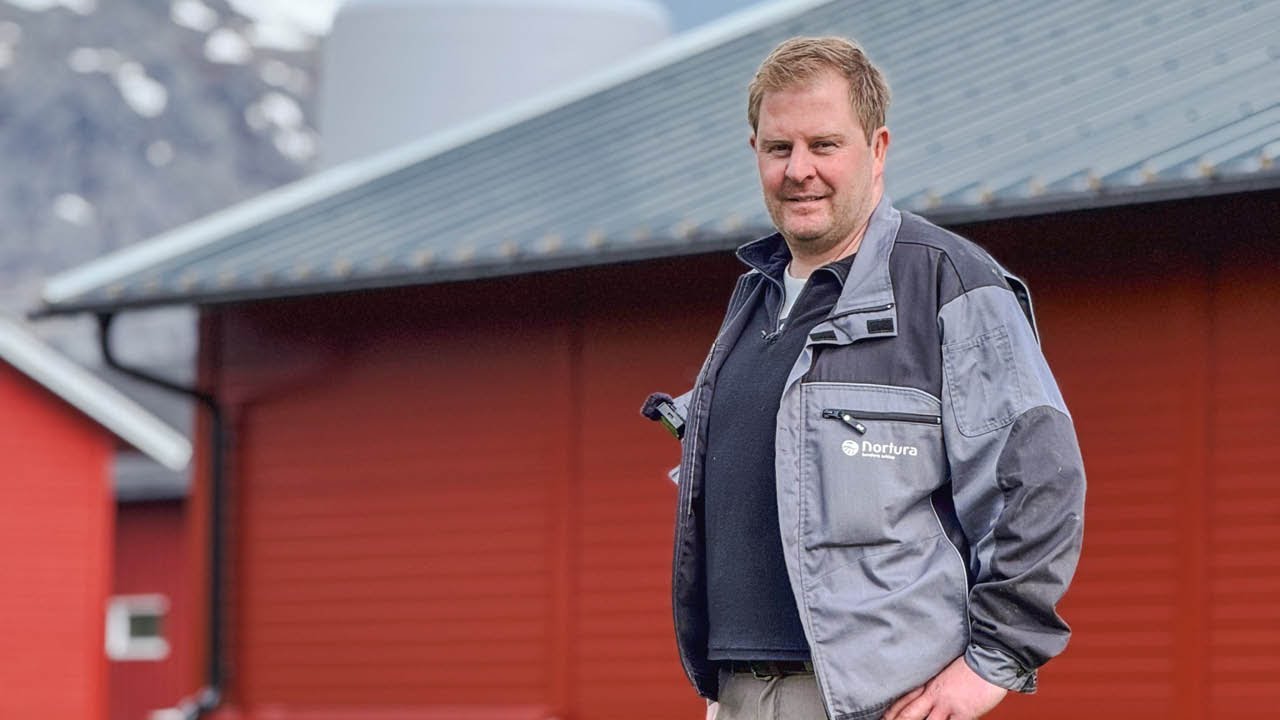 Moderne ammekubonde i Nord-Norge