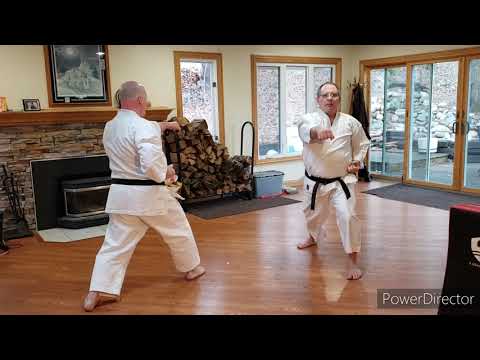 Home Shotokan Karate Training - March 24th 2021 U of M Shotokan Karate Club