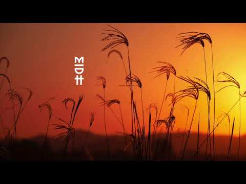 George Dexx - Fazenda