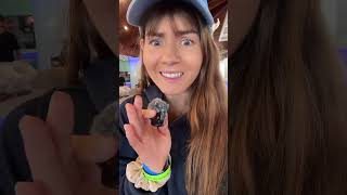 EXTREME CRUISE SERIES: Ship 6: Worlds Worst Rated Cruise Review- Margaritaville in Paradise🌴 Day 3: