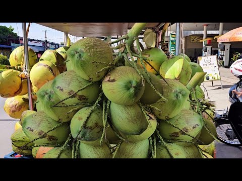 Master of Coconut Cutting l Street Food Skill You Have to See!