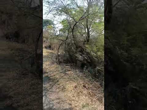  4 Acre Agricultural/Farm Land for Sale in Mouda, Nagpur