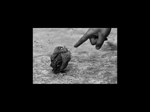 Georgi Z - Visceral (Original Mix)