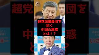 【速報】超党派議員団を招く中国の思惑 とは！？