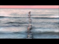 Alain Souchon ~ On avance 