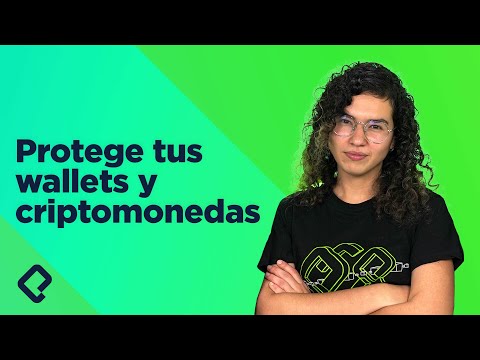 Cómo proteger tus wallets y criptomonedas