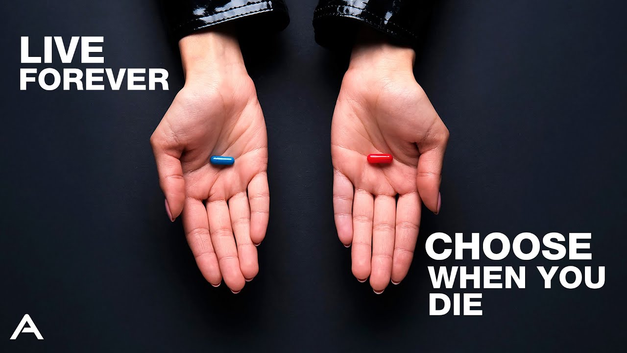 Should We Seek Immortality?