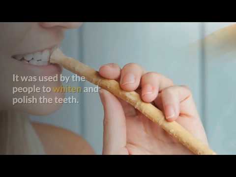10 Scientifically Proved Benefits of Miswak | Miswak Tree